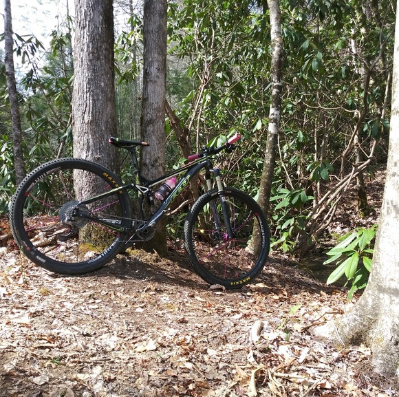 Meet your Posher, Rebecca and Angel the 🐱 kitty - Picture 6 of 8